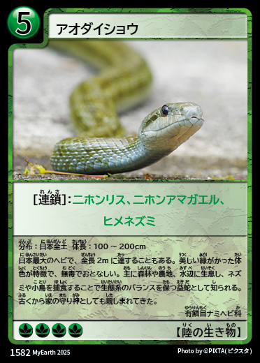 アオダイショウ カード